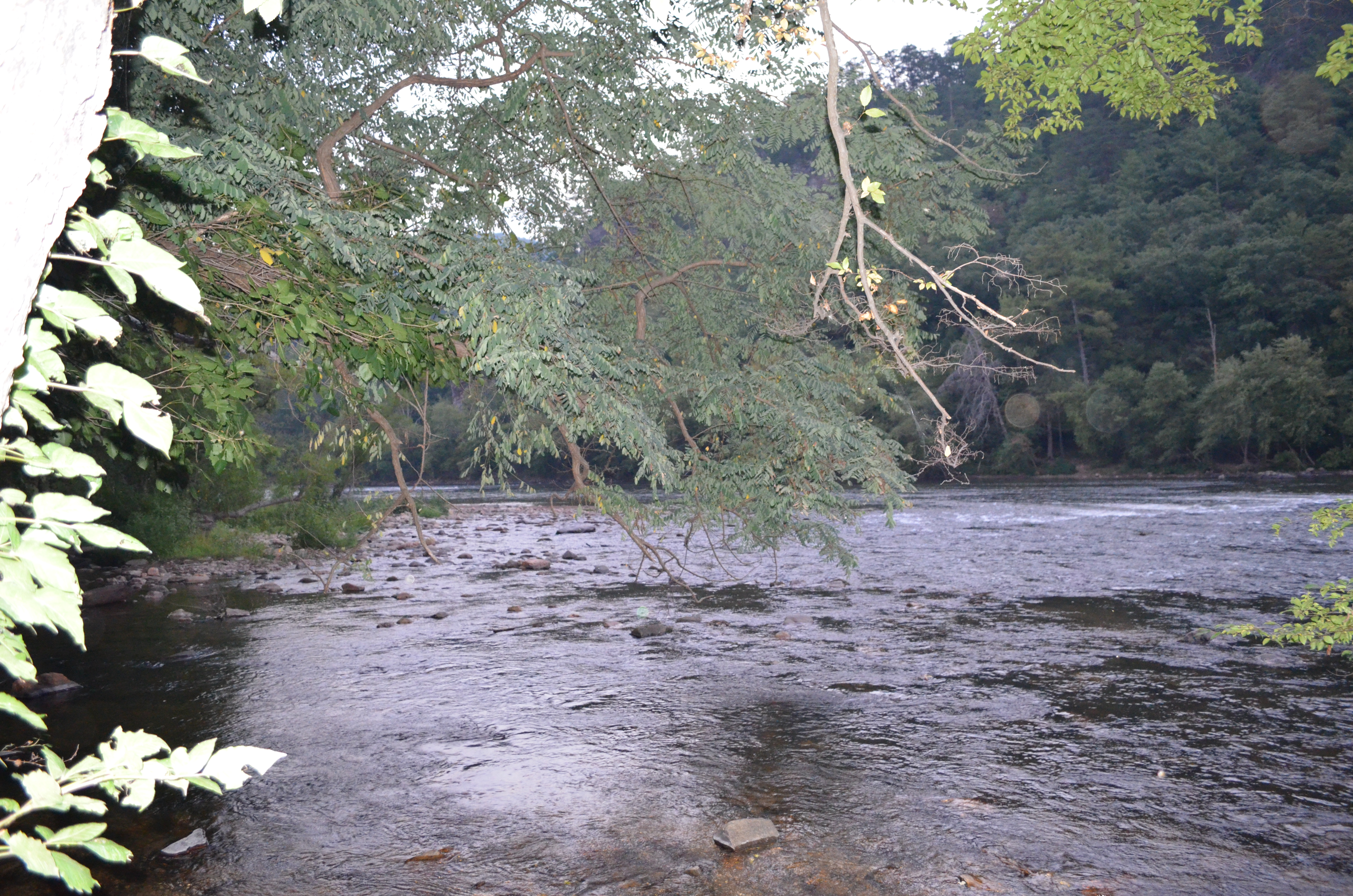 ./2014/Hot Springs/DSC_5409.JPG